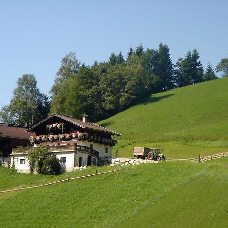 Villa Almliesl Mitt-581 Mittersill Exterior foto